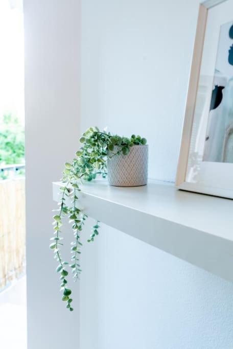 Grape Appartement