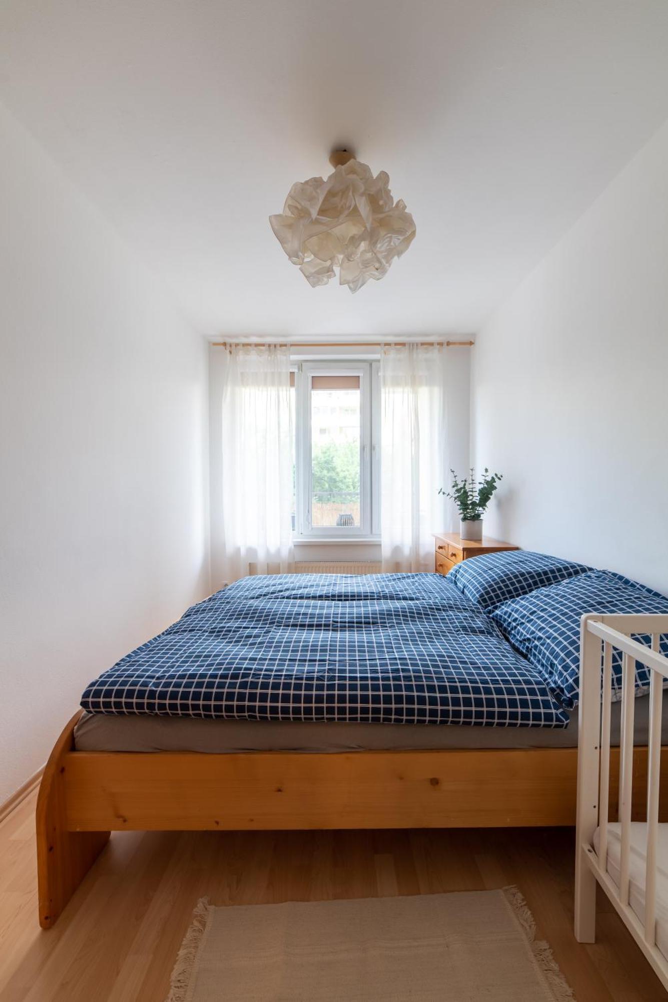 Grape Apartment Pressburg