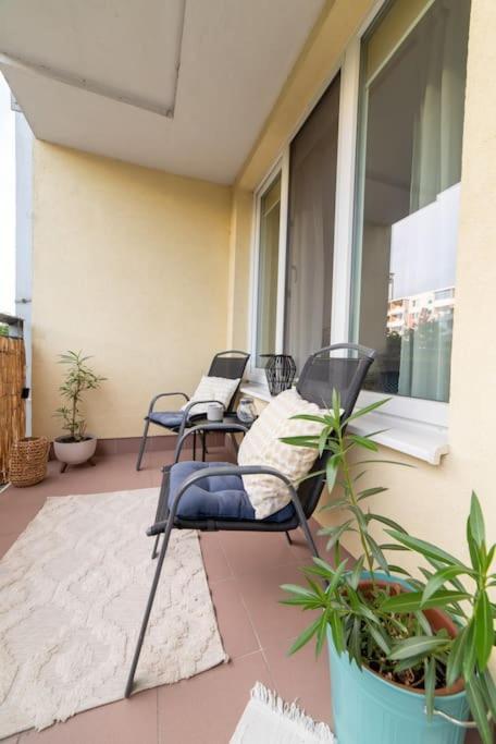 Grape Apartment Pressburg